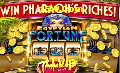 Sistemas de Segurança LLvip